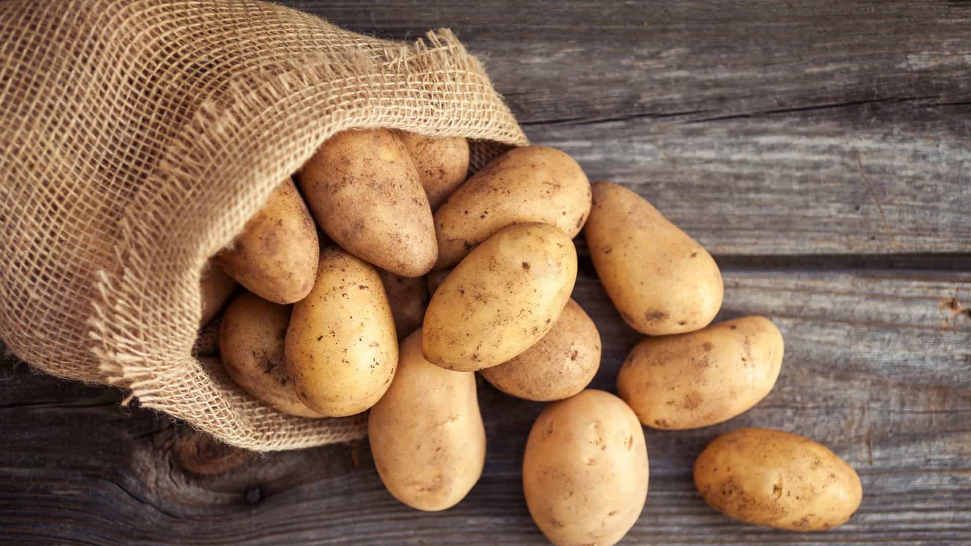 Batata