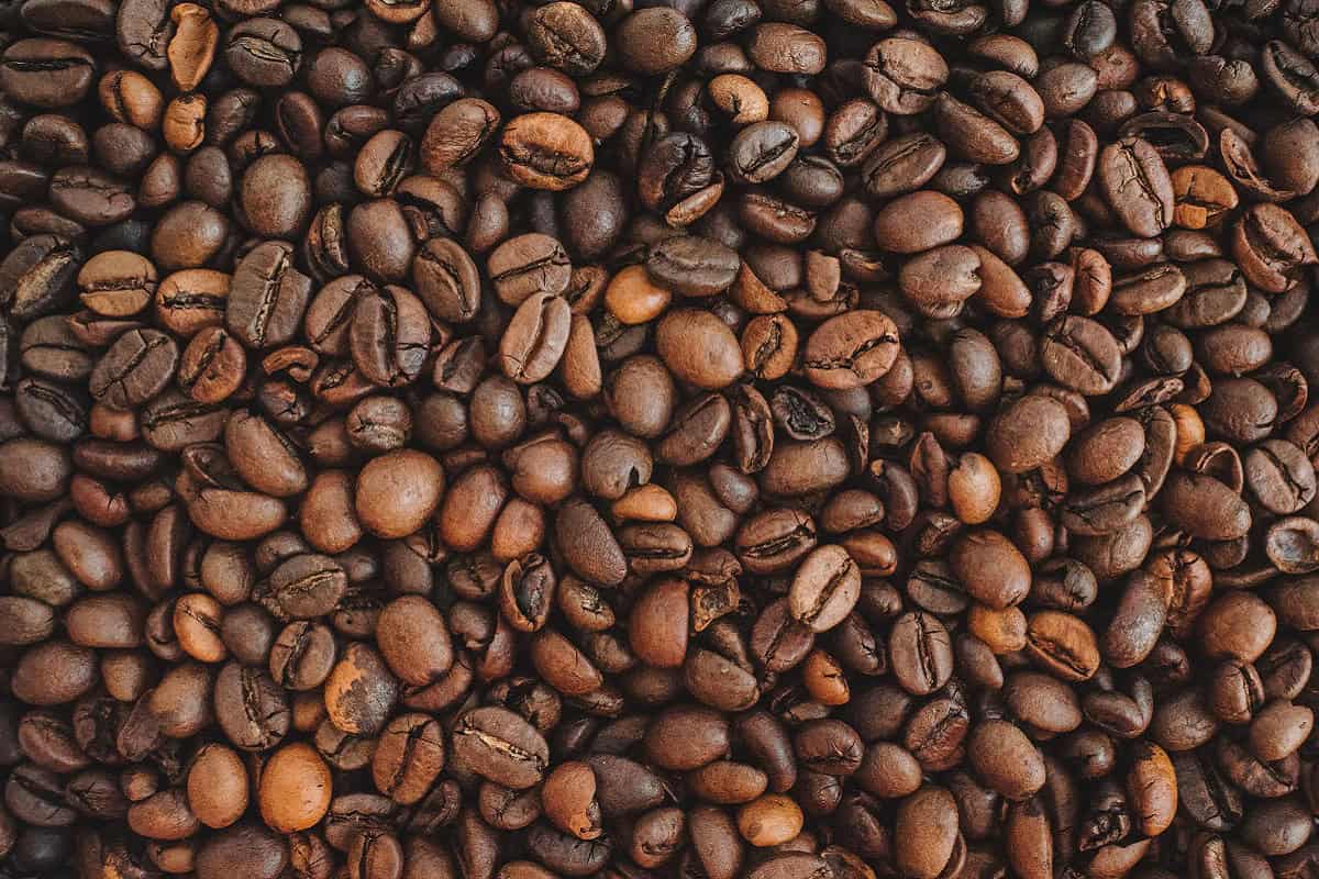 Café